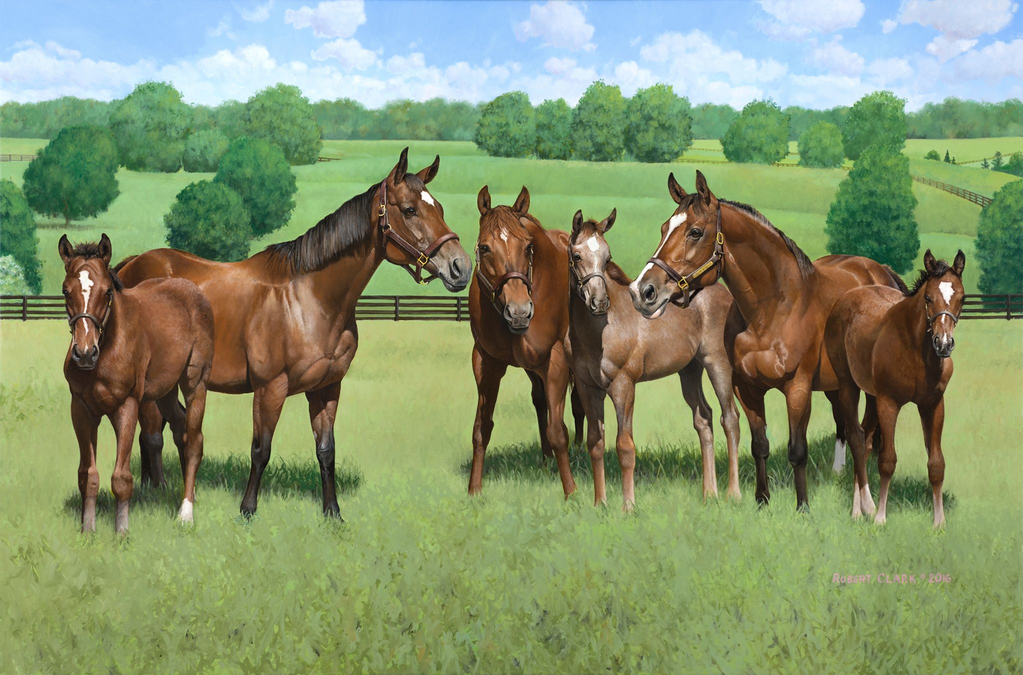 Mares & Foals by Robert Clark, Artist Mares & Foals by Robert Clark, Artist